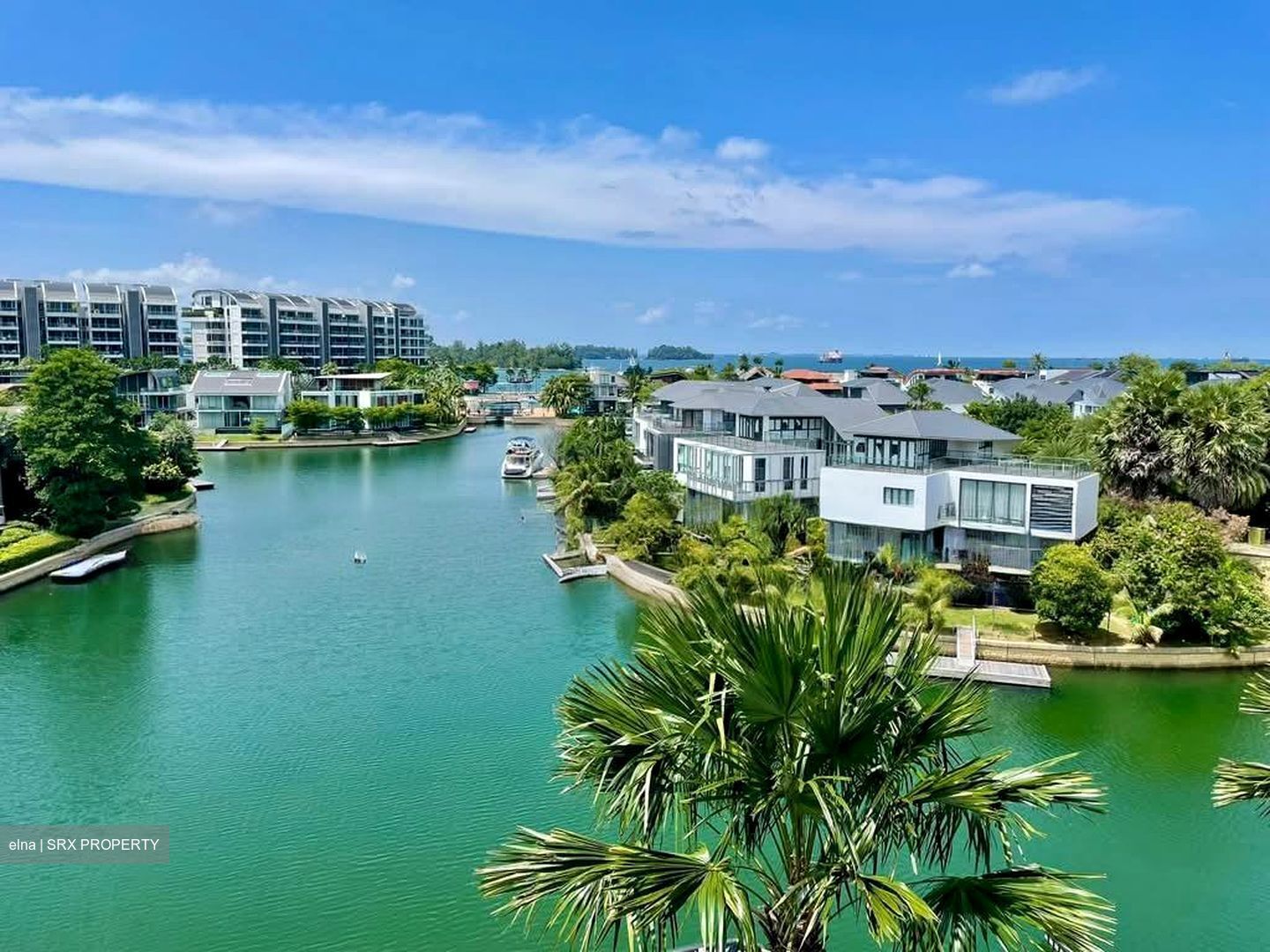 Turquoise (D4), Condominium #559710461